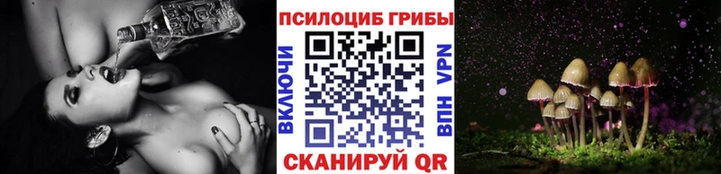 Купить закладки  Горячий Ключ  Псилоцибиновые грибы Psilocybe 